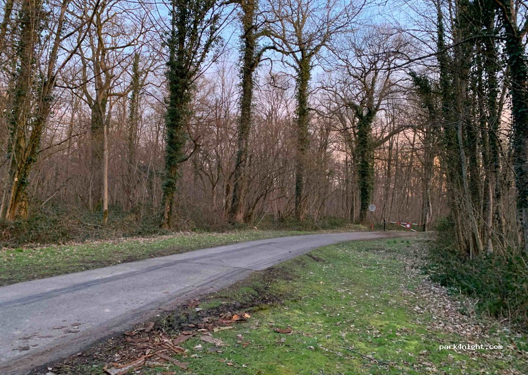 (6440) Froidchapelle - Rue des Carrières — foto 2