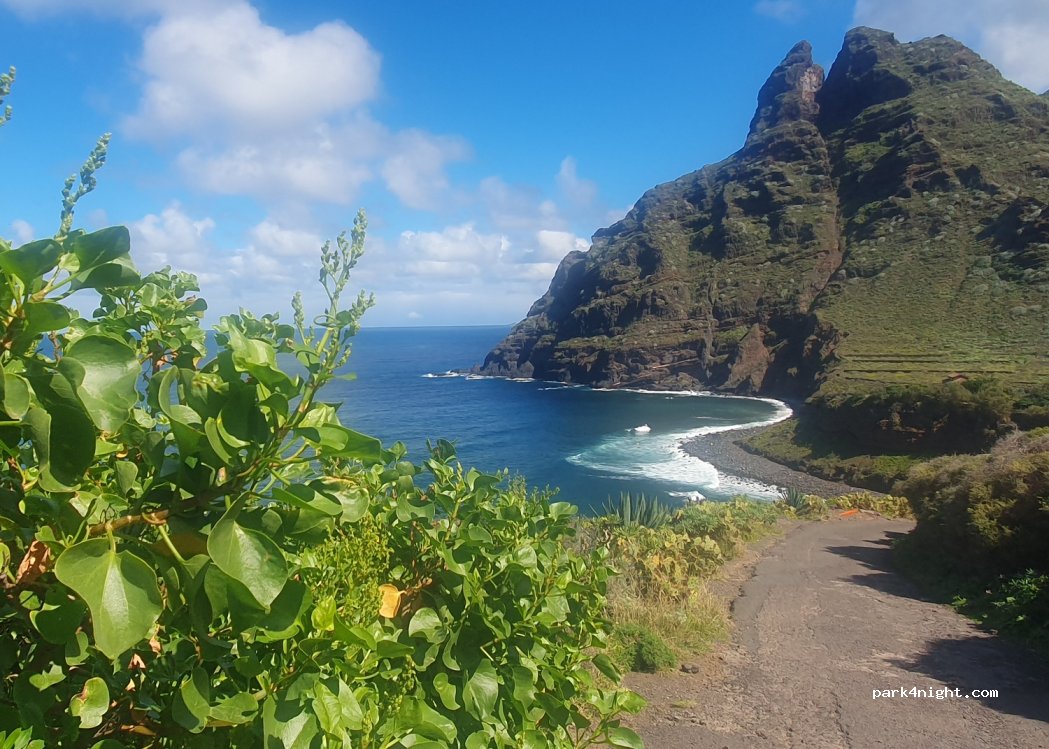 (38240) Punta del Hidalgo - 93B Carretera General Punta del Hidalgo — foto 4