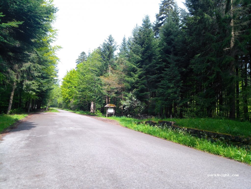 (72285) Pfalzgrafenweiler - Waldenserstraße — foto