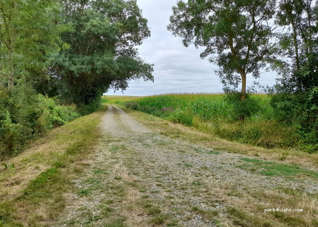 () Bellevigne-en-Layon - — foto 3