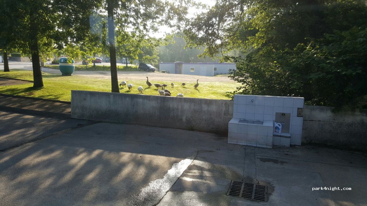(56400) Brech - 17 Rue du Pont Douar — foto 3