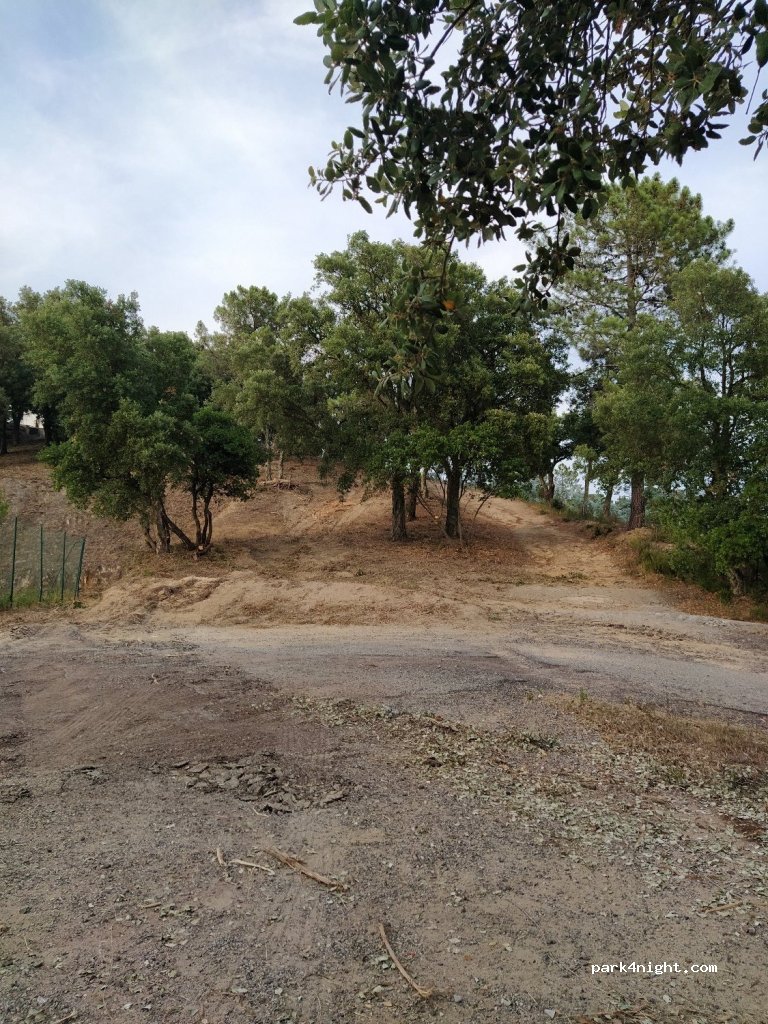 (83440) Tanneron - Chemin du Touordam — foto 3