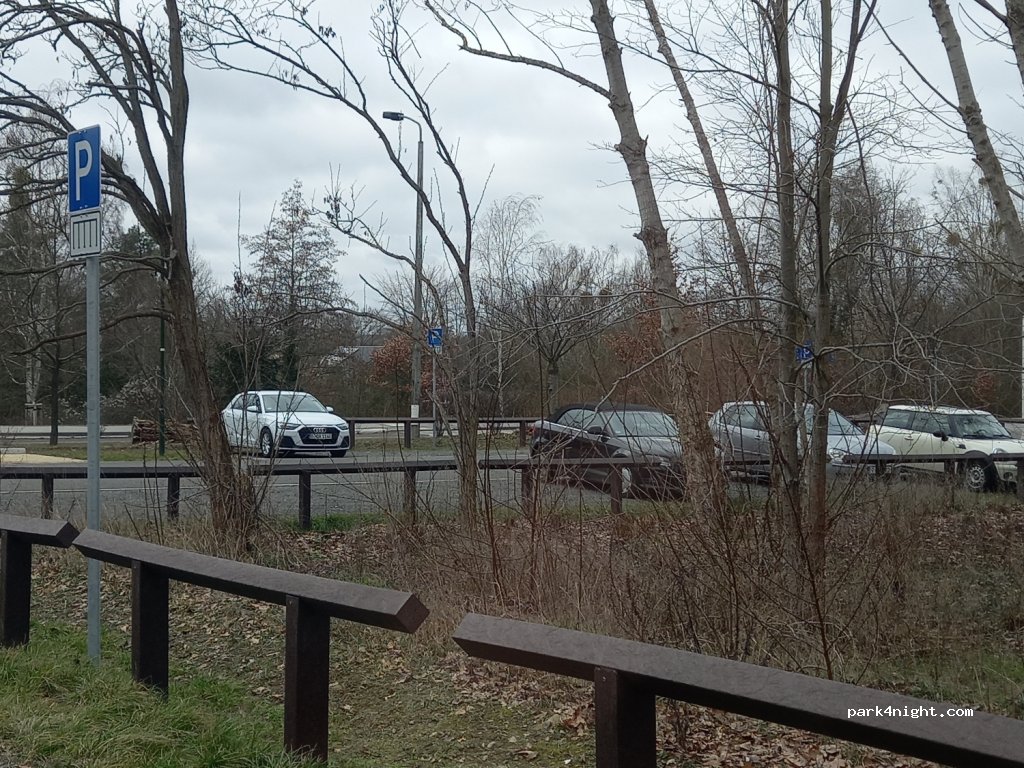 (14548) Schwielowsee - — foto