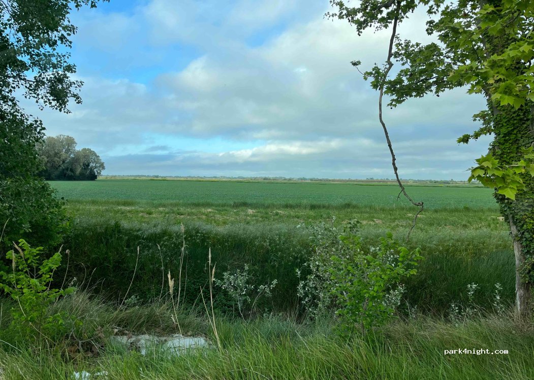 (13123) Saintes-Maries-de-la-Mer - Route de la Trinité — foto 2