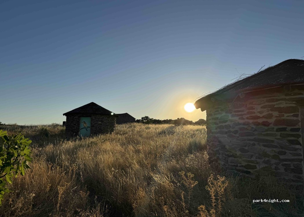 (10818) Casillas de Coria - Camino de Casillas de Coria a Santa Maraa — foto 4