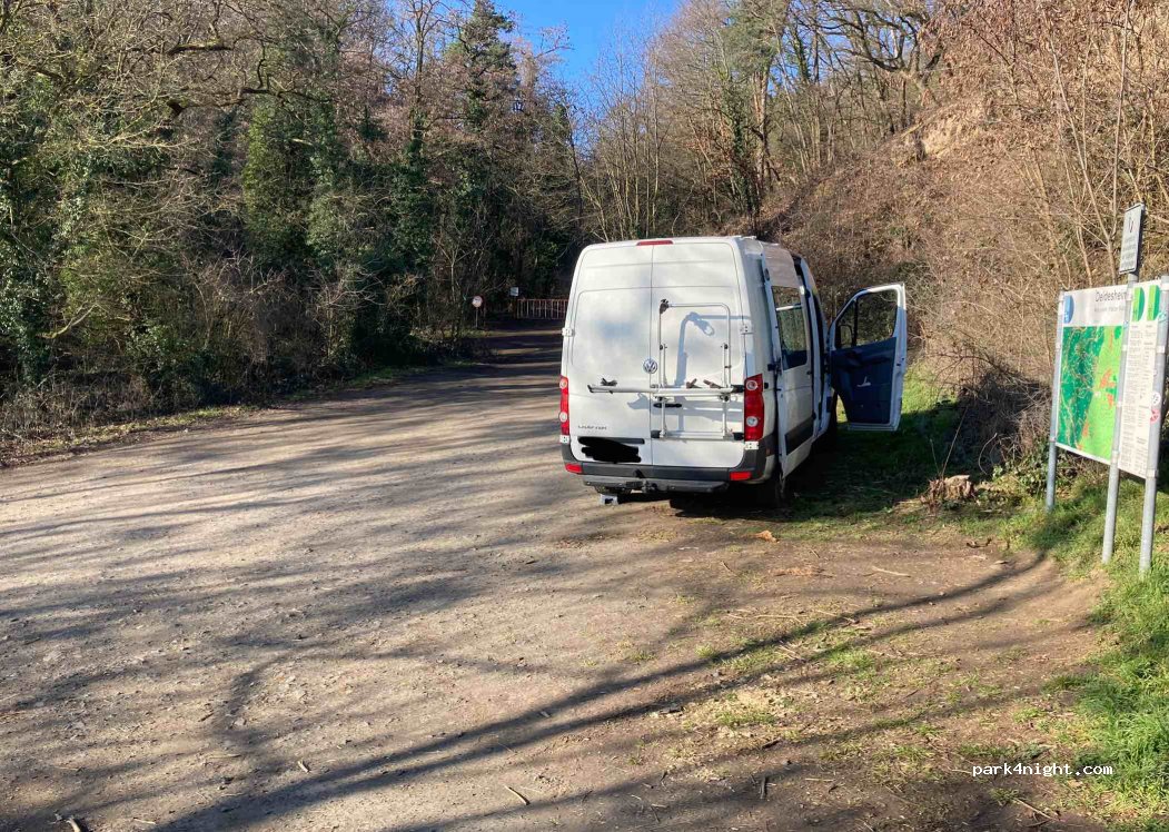 (67147) Forst an der Weinstraße - Unnamed Road — foto