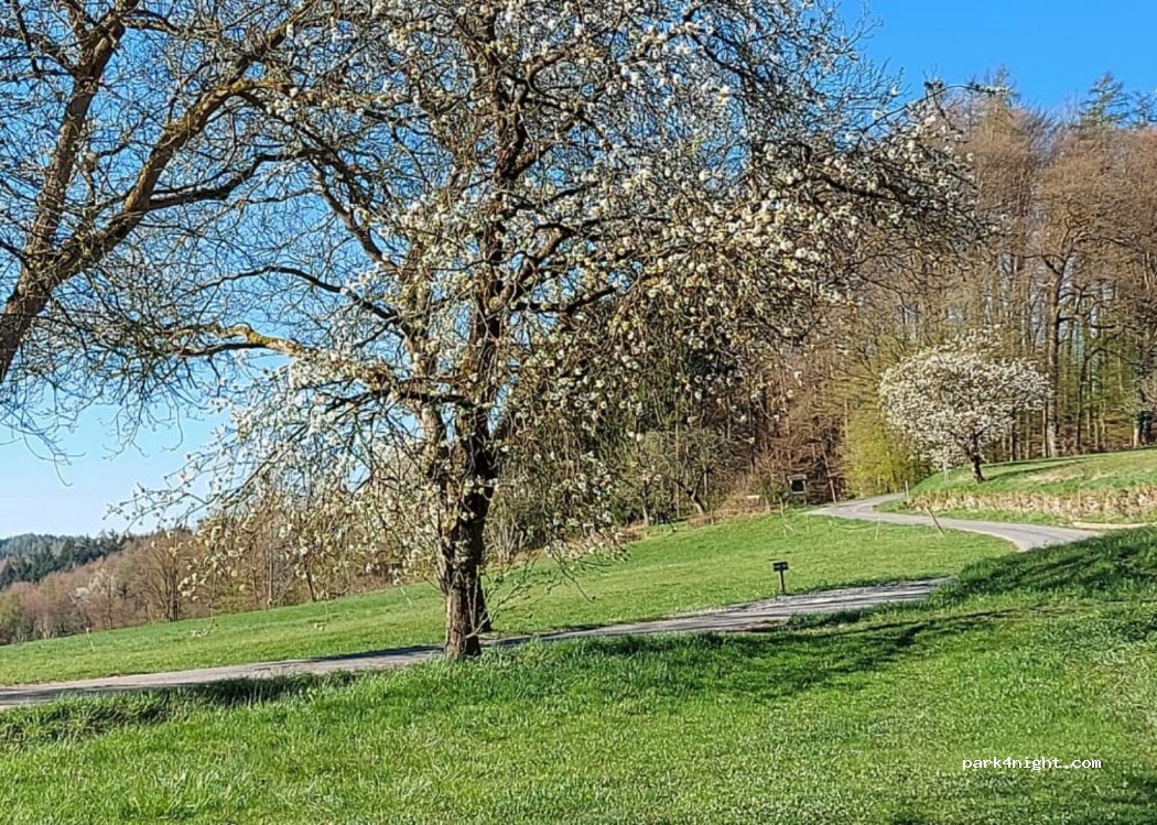 (63897) Miltenberg - 3 Monbrunn — foto 3