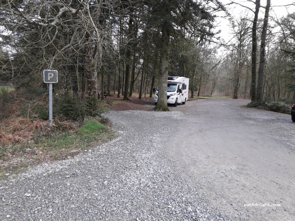 (35540) Le Tronchet - D9 — foto