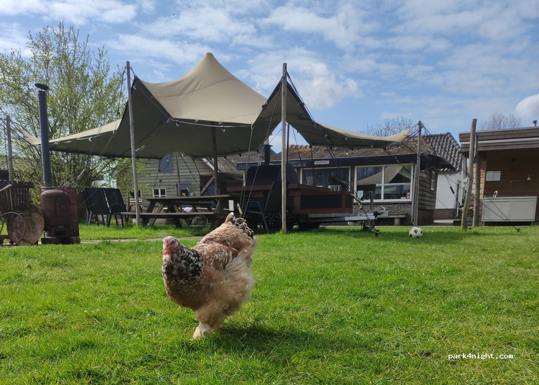 Mini-mini camping Wittebrinkse sferen — foto 4