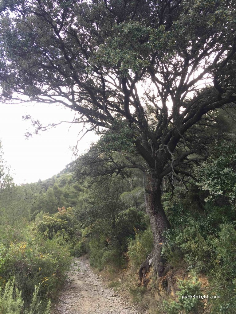 (66720) Tautavel - Unnamed Road — foto 2
