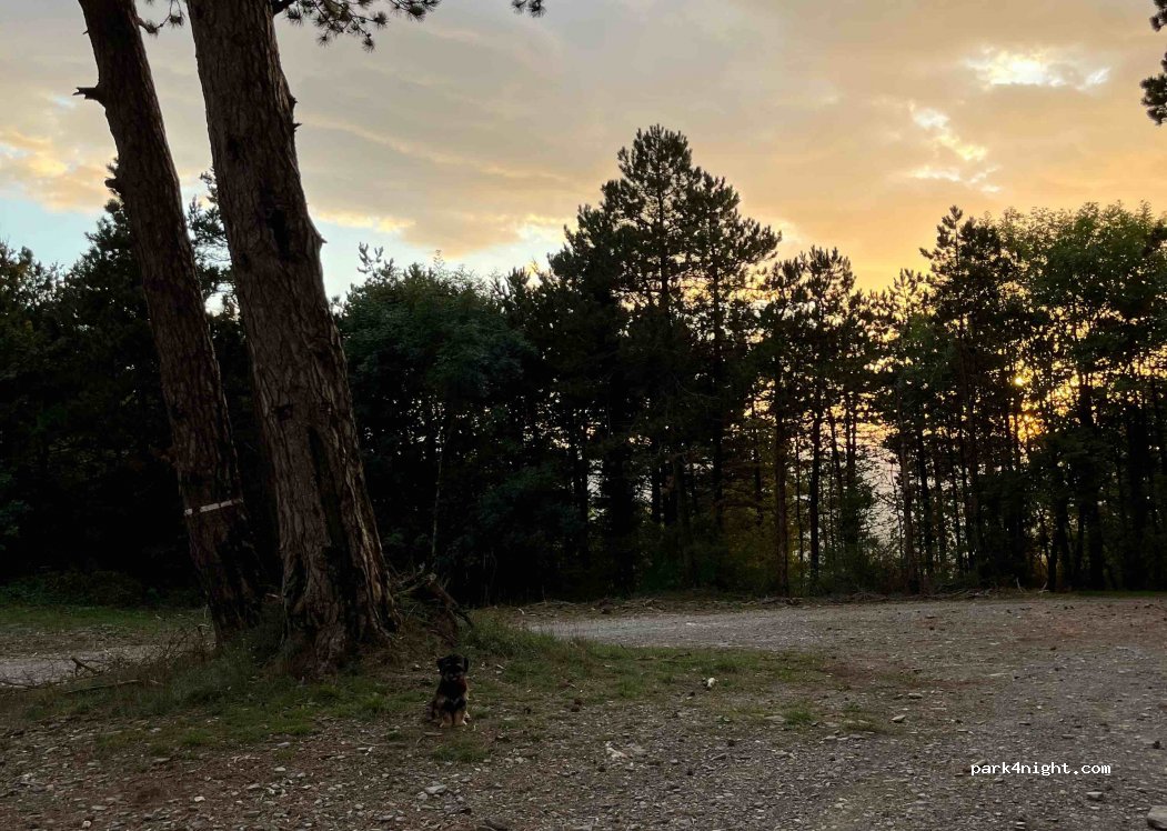(34220) Verreries-de-Moussans - Unnamed Road — foto 2