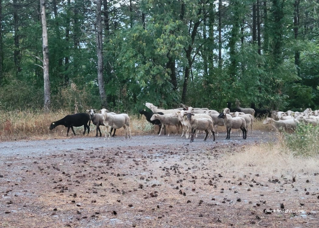 (34220) Verreries-de-Moussans - Unnamed Road — foto 4