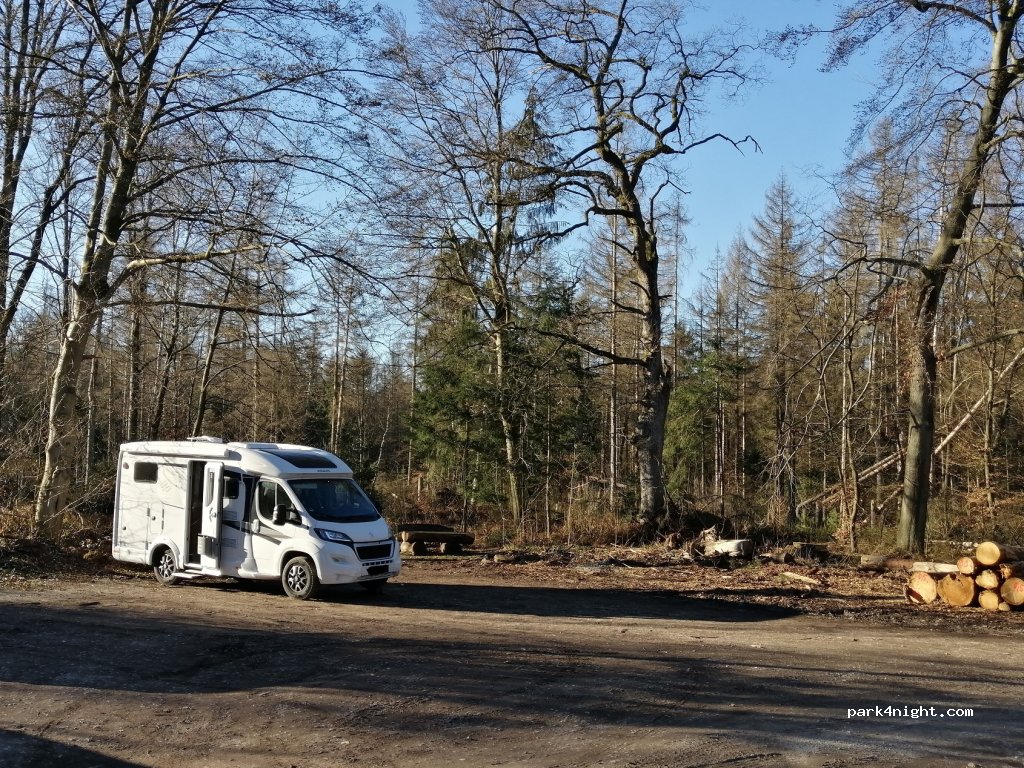(32760) Detmold - Lopshorner Allee — foto