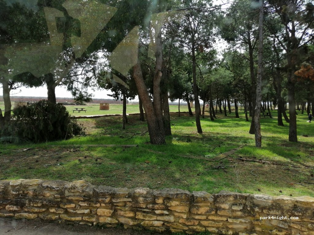 (50400) Cariñena - Camino de Almonacid de la Sierra a Longares — foto