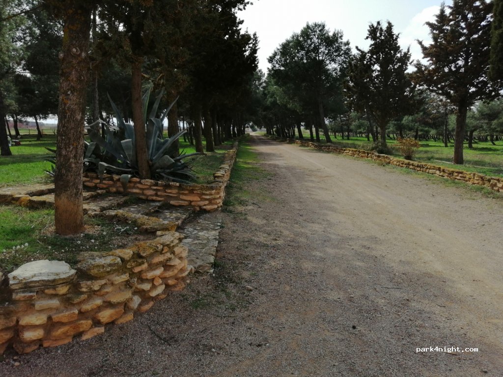 (50400) Cariñena - Camino de Almonacid de la Sierra a Longares — foto 4