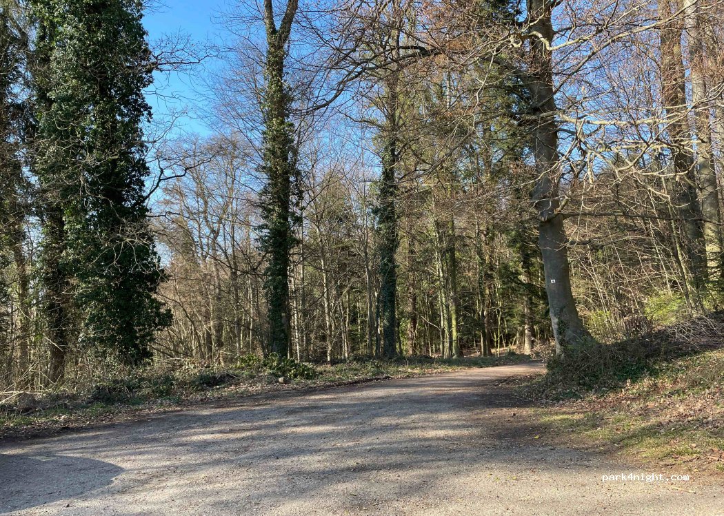 (77971) Kippenheim - Kirchberg — foto