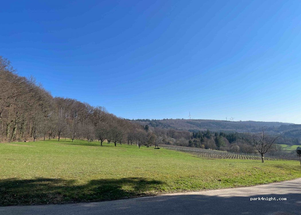 (77971) Kippenheim - Kirchberg — foto 2