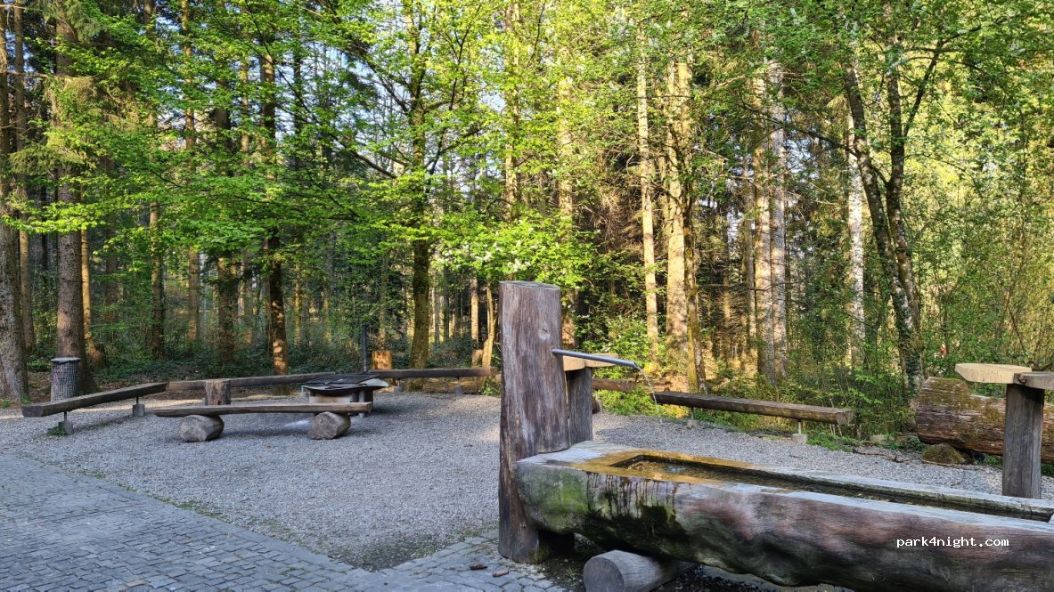 (4852) Rothrist - waldhusweg — foto