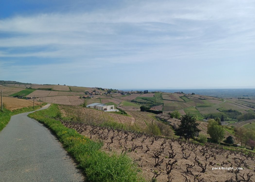 Vignoble Prely Patrick — foto 3