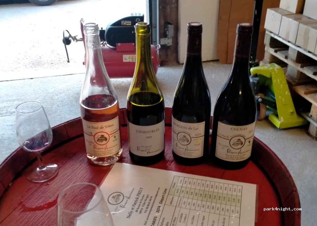 Vignoble Prely Patrick — foto 4
