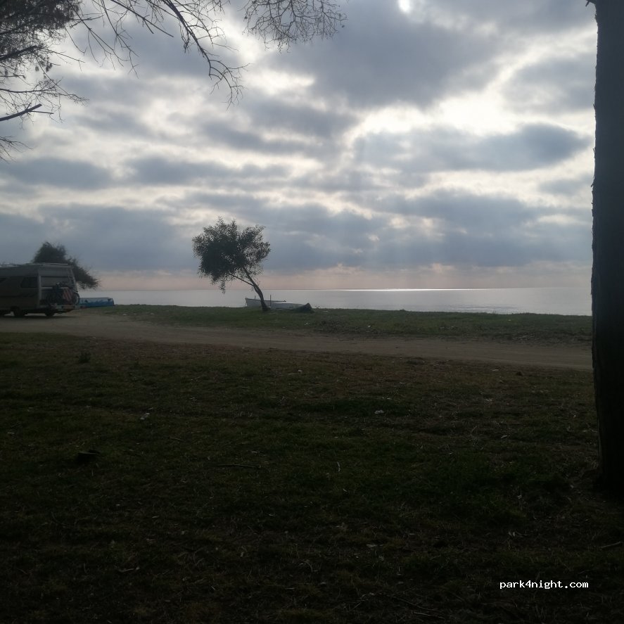 (88050) Sellia Marina - Via degli Americani — foto