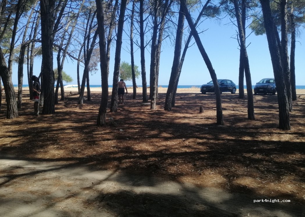(88050) Sellia Marina - Via degli Americani — foto 3