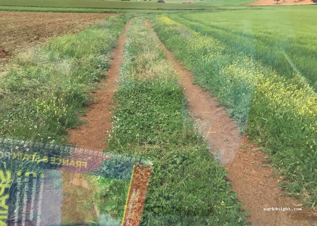 (16100) Valverde de Júcar - Unnamed Road — foto 2