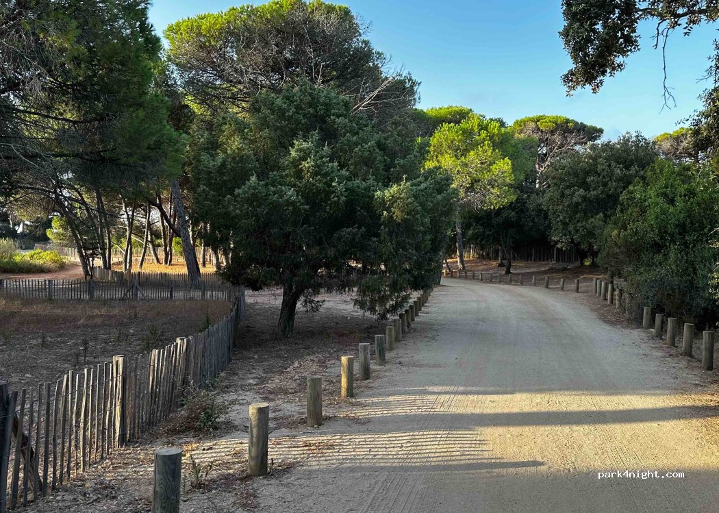 Parking I Pini — foto