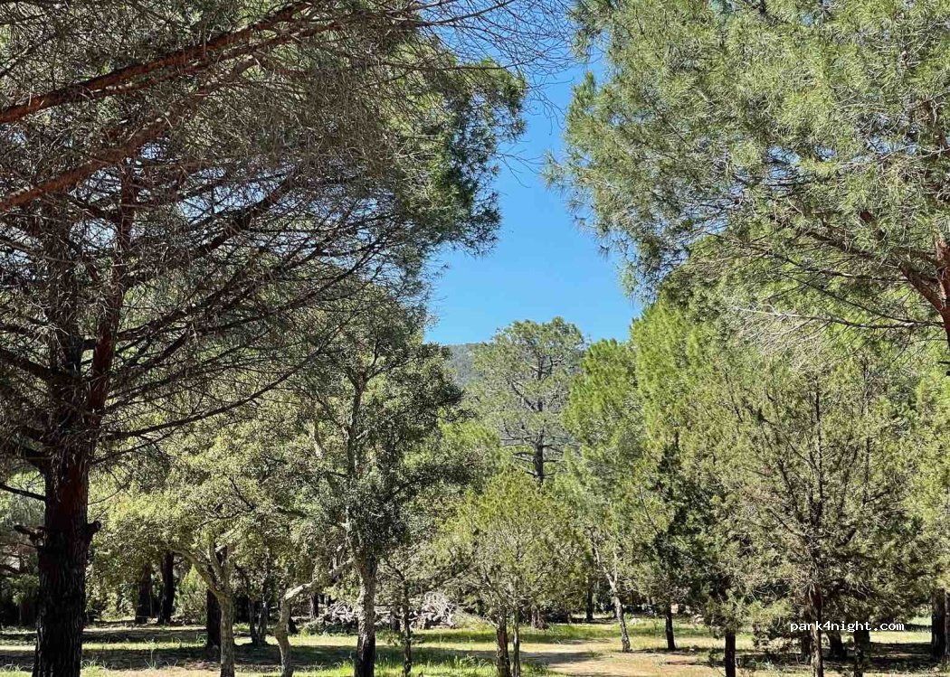 Parking I Pini — foto 3