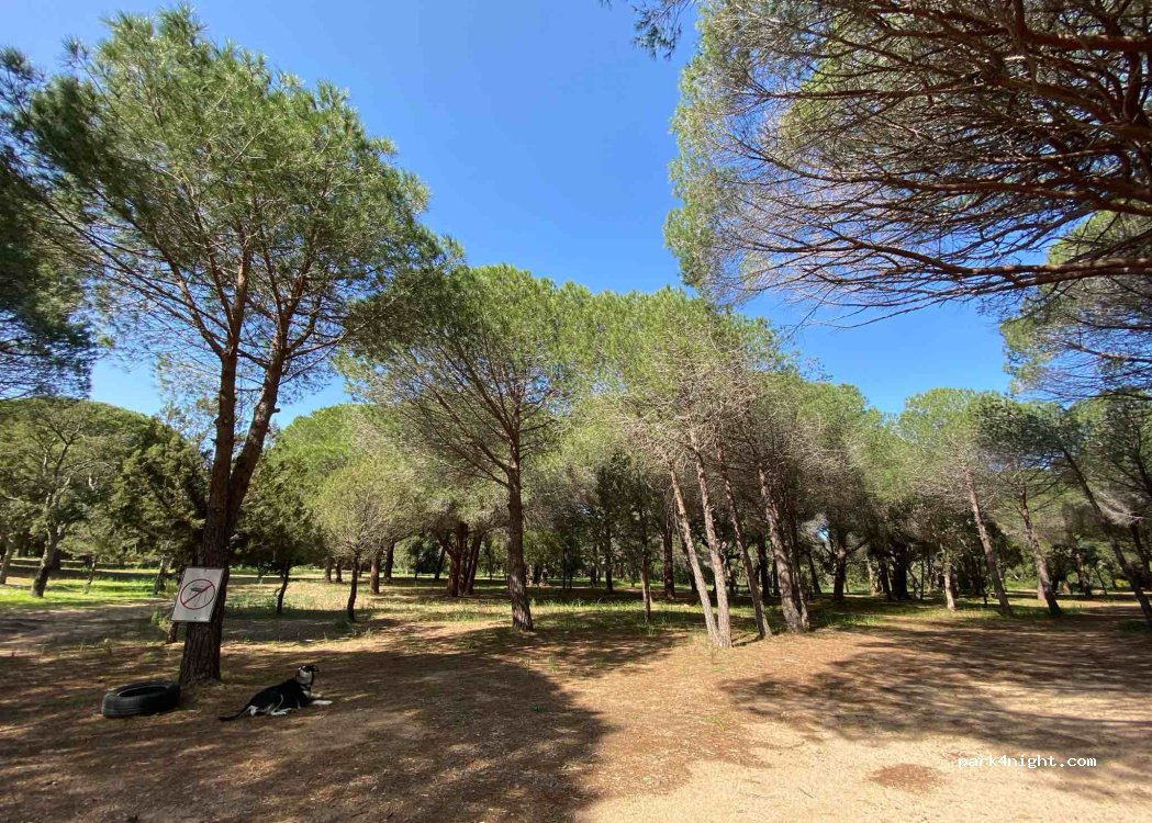 Parking I Pini — foto 5