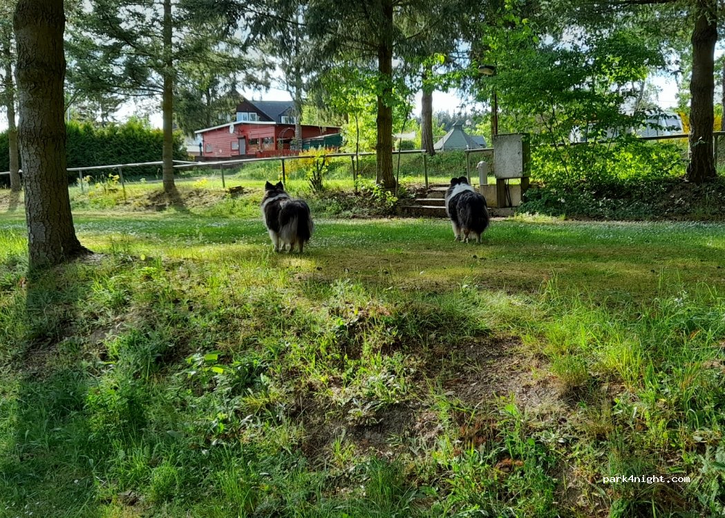 Camping Kröver Berg — foto