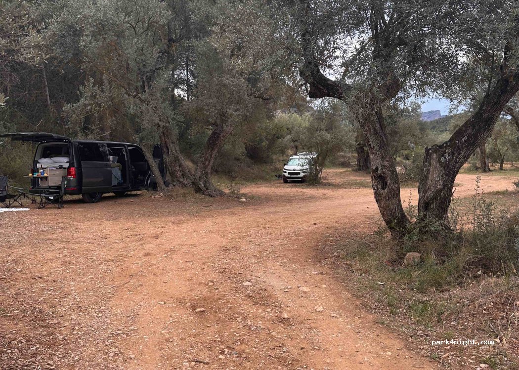 (43597) Arnes - Unnamed Road — foto 4