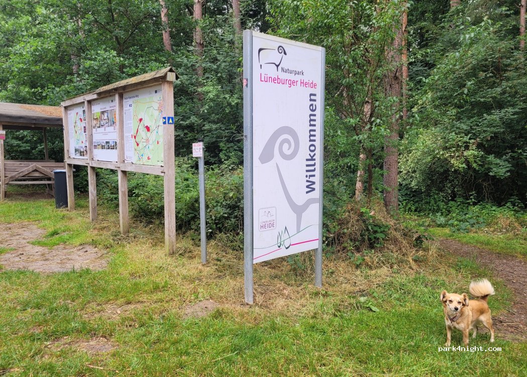 (21388) Soderstorf - Zur Schwindequelle — foto 5