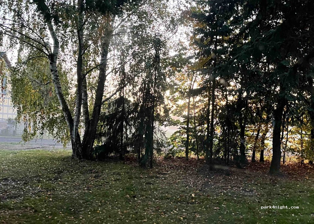 (15324) Letschin - 20 Kienitzer Oderstraße — foto 3