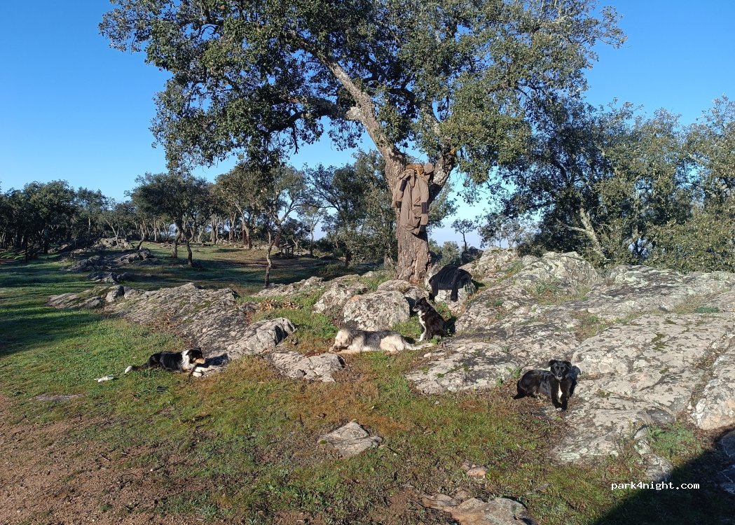(21386) Cumbres de San Bartolomé - 59 Diseminado Diseminados — foto 5