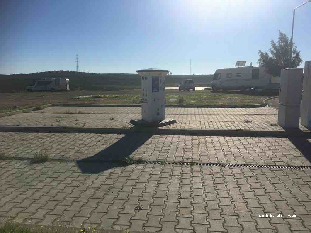 (8970-305) Pereiro - N124 — foto