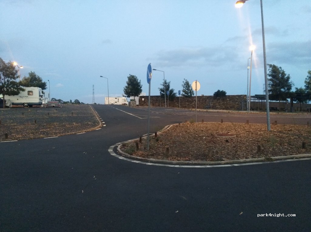 (8970-305) Pereiro - N124 — foto 2