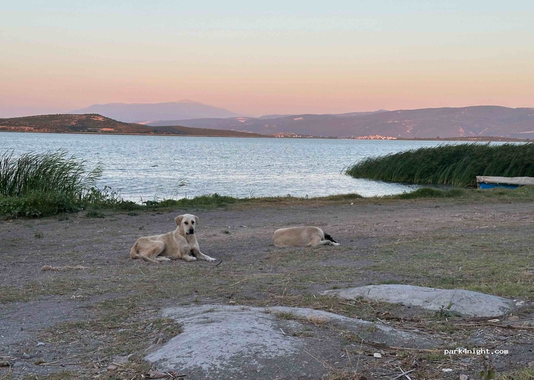 (16710)  - Eskikaraağaç Köyü İç Yolu — foto 2