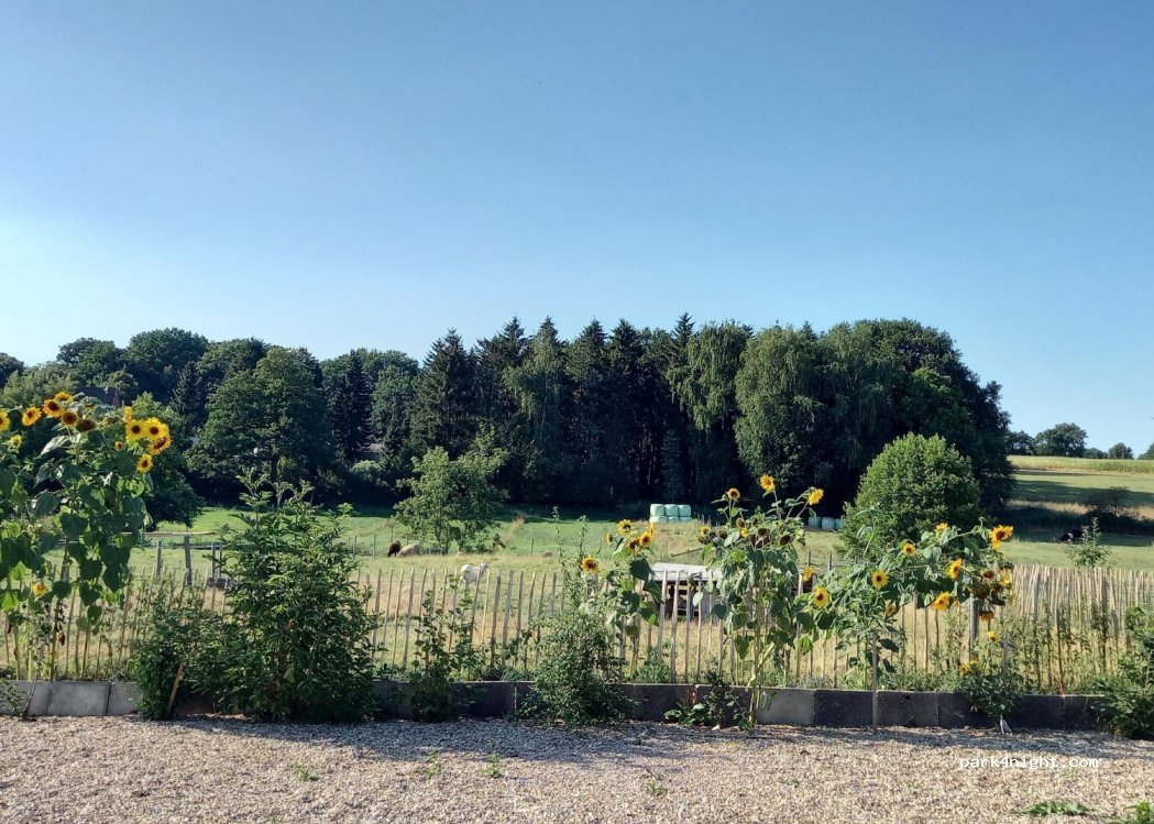 (25584) Holstenniendorf - 49 Hauptstraße — foto 3