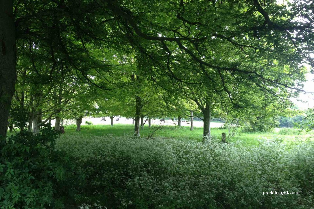 () Brighton - Stony Mere Way — foto