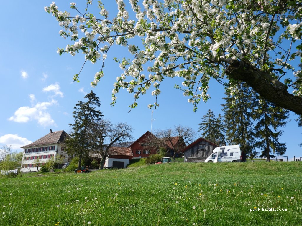 Berghof Hallau — foto 2