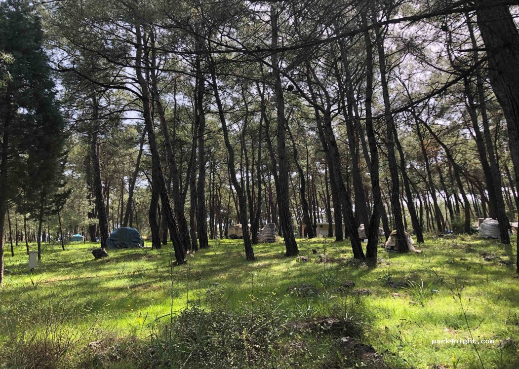 Camping Akyaka Orman Kampı — foto