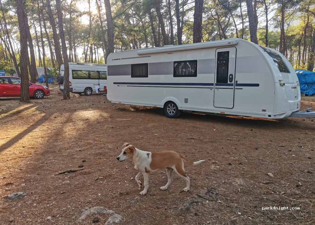 Camping Akyaka Orman Kampı — foto 2