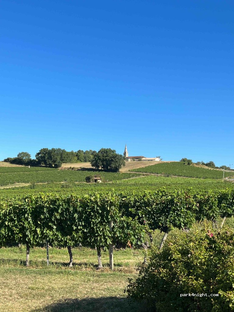 Château Jeantieu — foto 2
