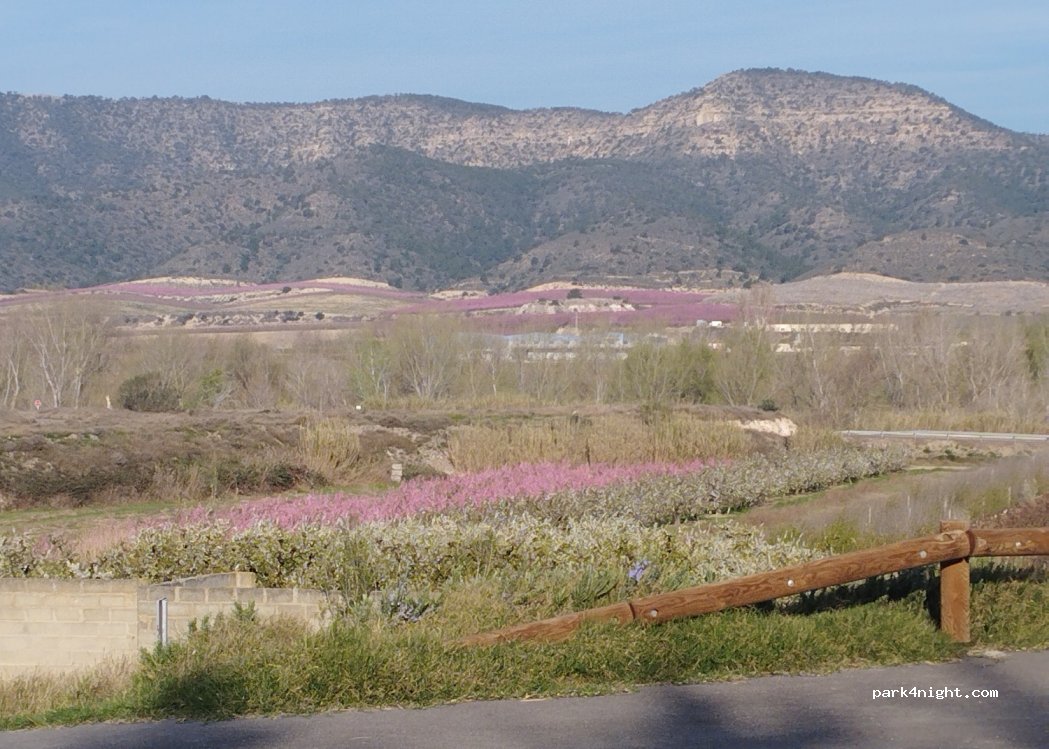 (25185) La Granja d'Escarp - 97 Carrer Mequinensa — foto 4