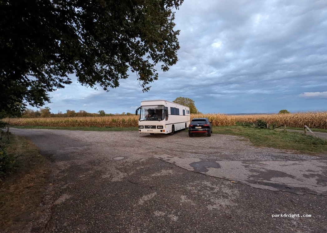 (77966) Kappel-Grafenhausen - Unnamed Road — foto