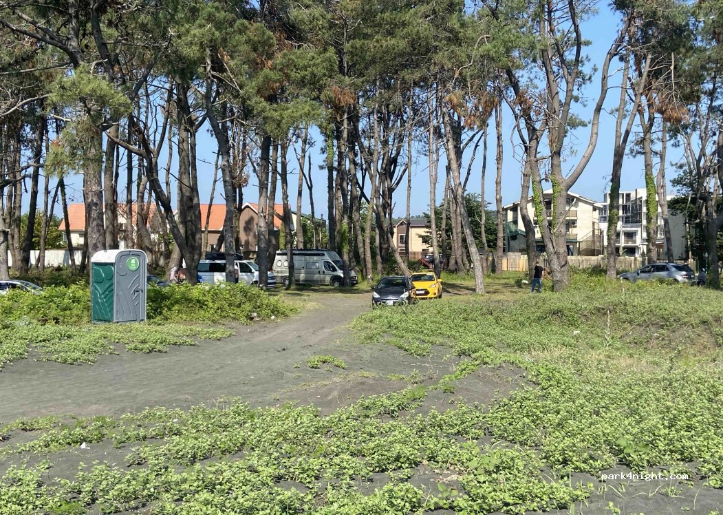 (3521) Shekvetili - — foto 5