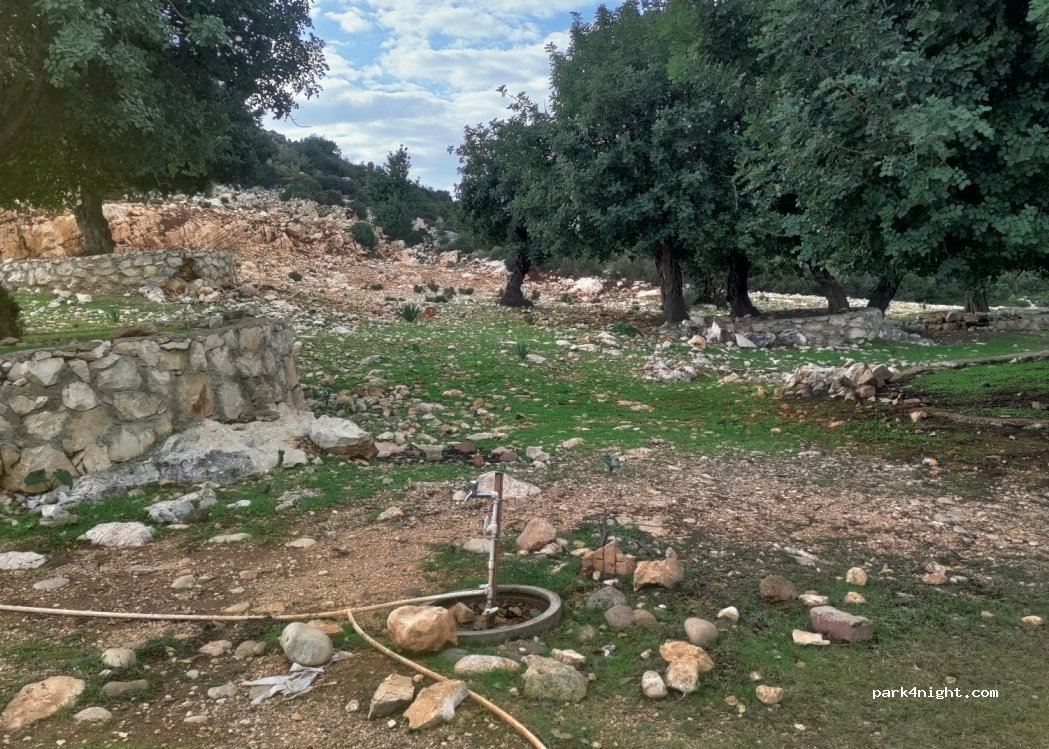 (07740)  - 17 636. Sokak — foto 2