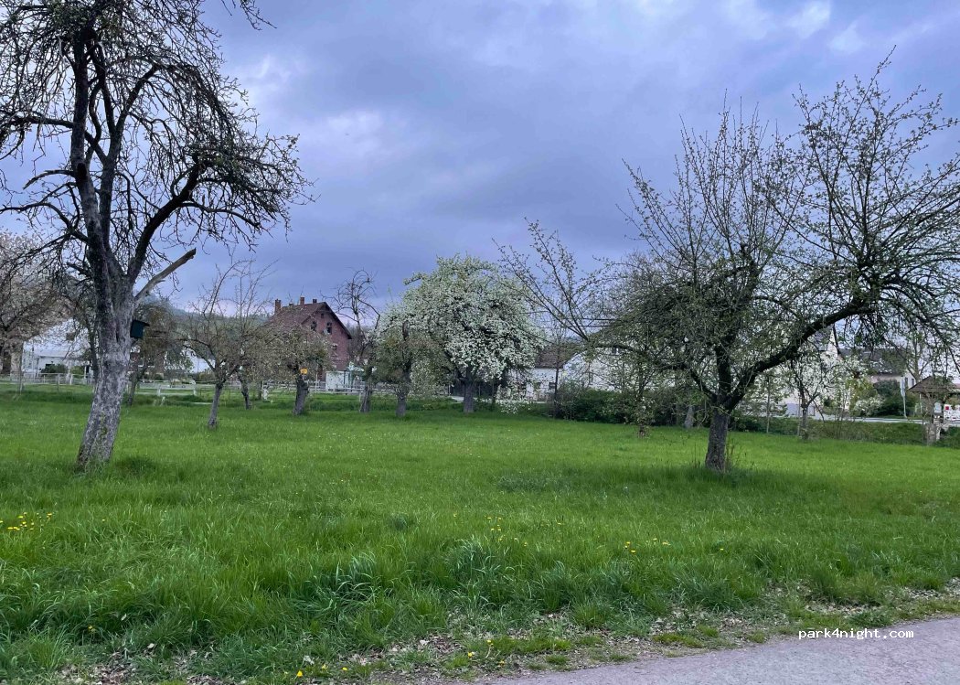 (37671) Höxter - 35 Bruchhäuser Straße — foto 3