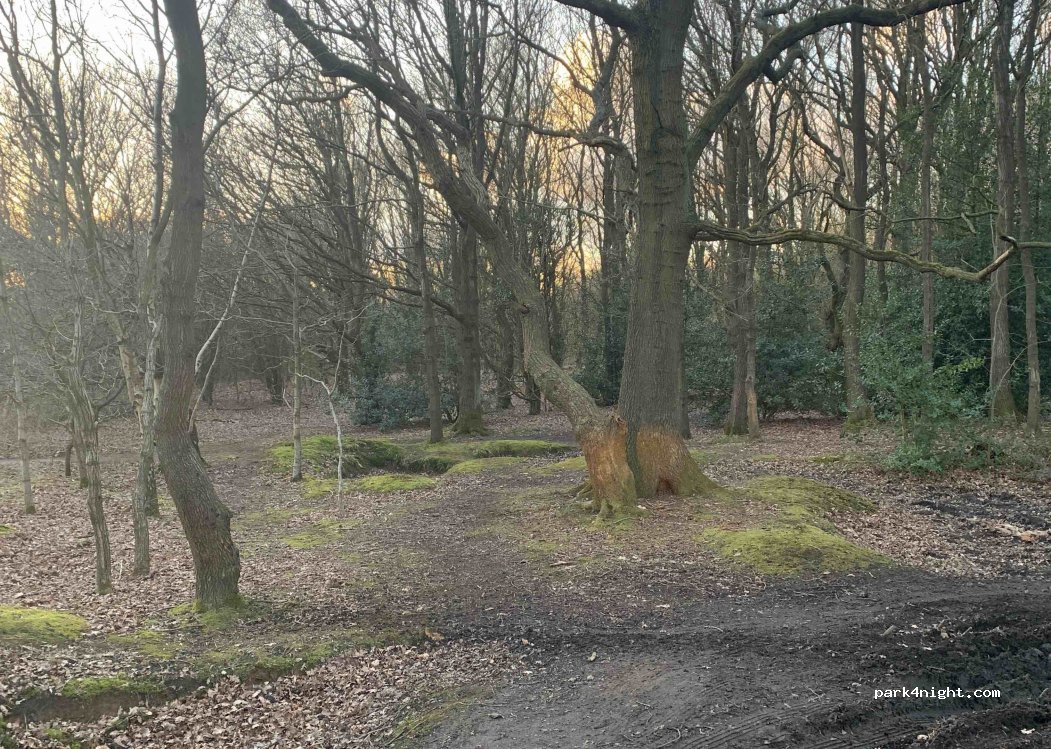 (CV9)  - The Common — foto